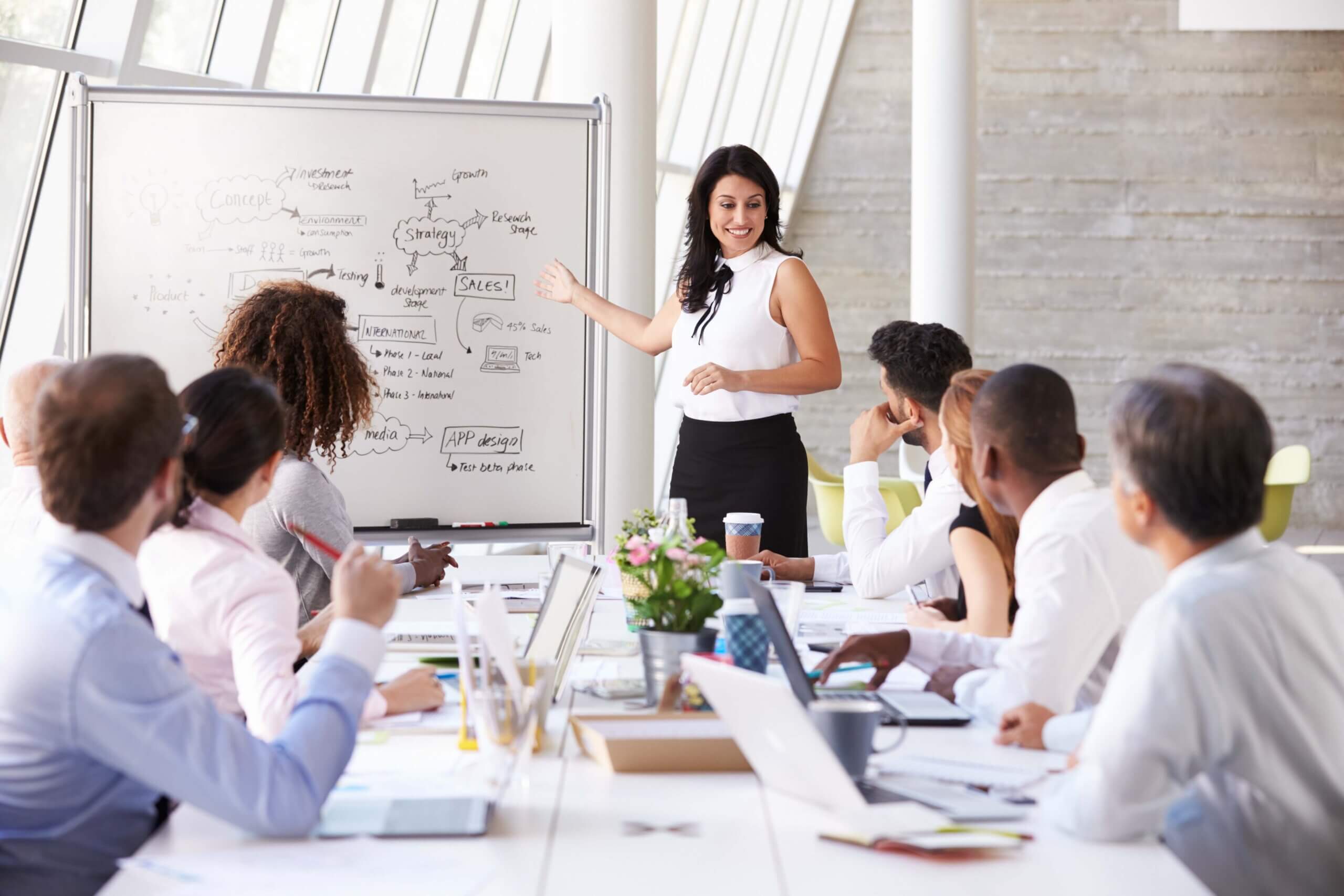 A woman stands at a whiteboard giving a presentation to a group of people seated around a conference table in a modern office. The whiteboard has diagrams and notes about sales strategy.